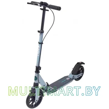 Самокат Ridex Micra (серый)